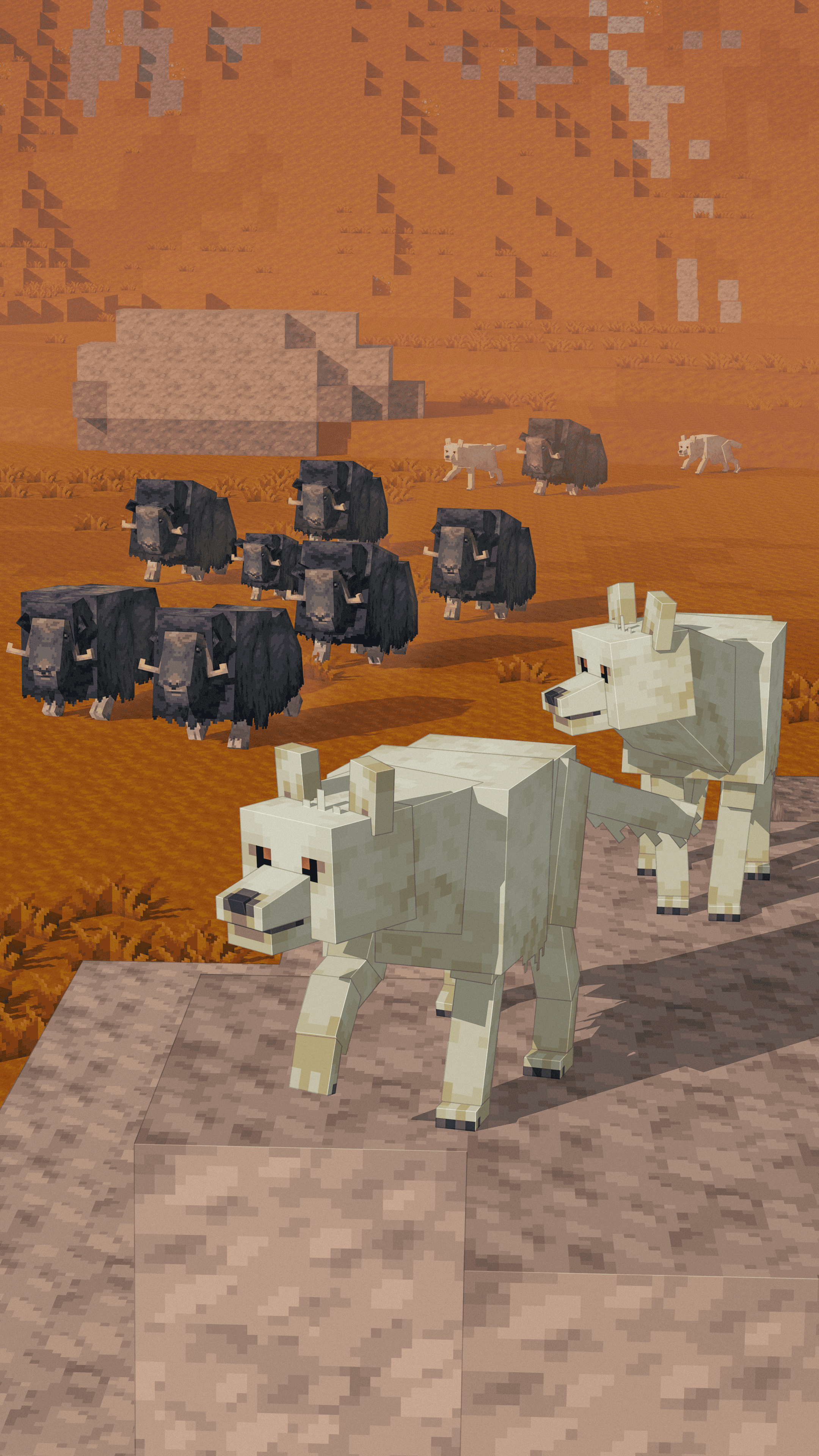 Close-up of a tree stump showing growth rings and a textured brown wood surface.